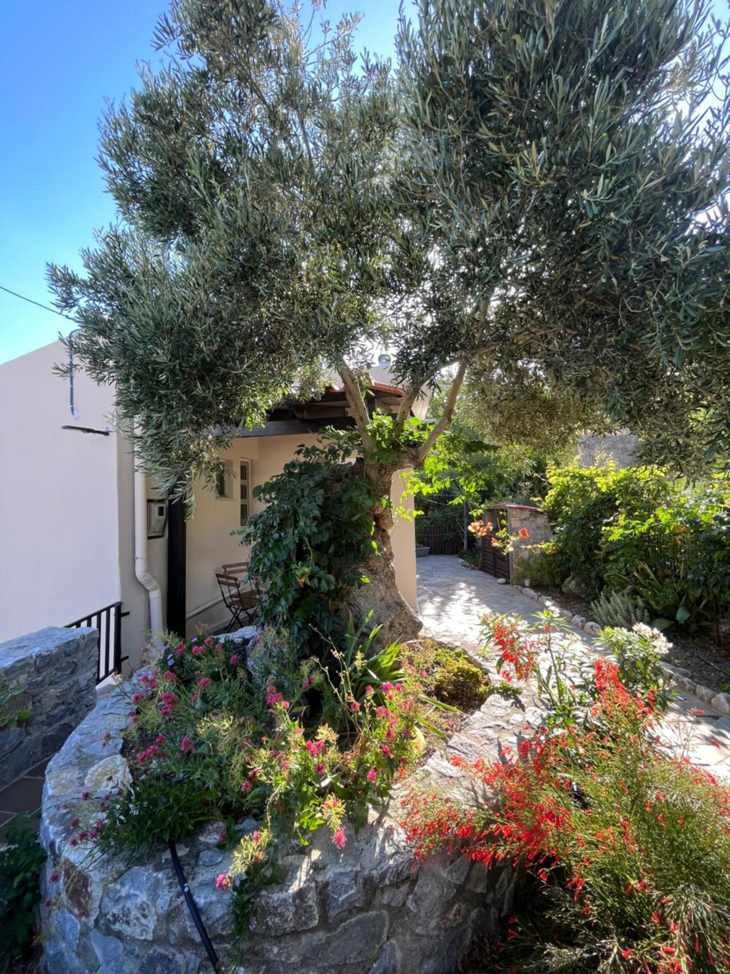 Petasos House - Garden - Sea View Villa Sellia  Exterior photo